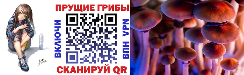 Псилоцибиновые грибы мухоморы  Неман 